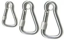 Stainless Steel Clips