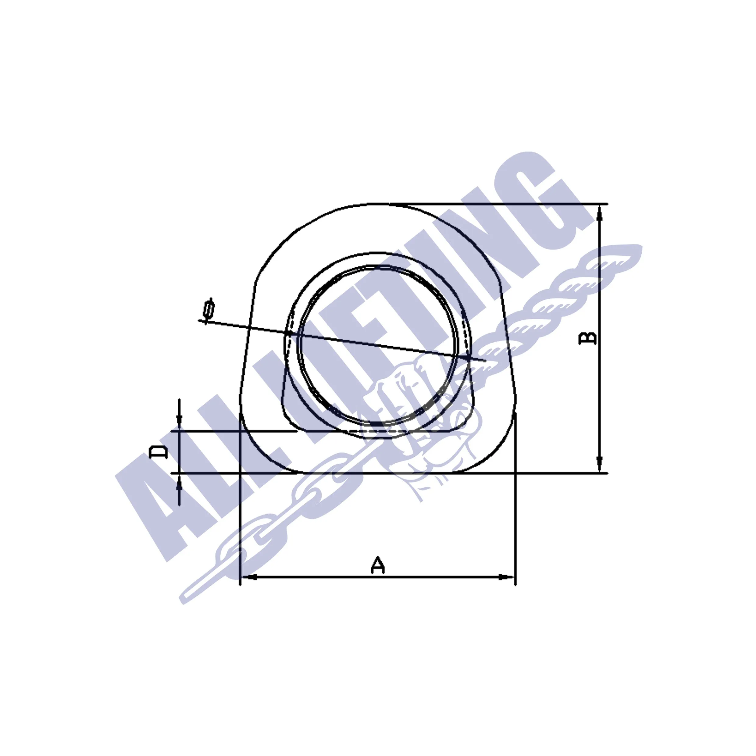 Stainless Steel Dee Ring with Thimble